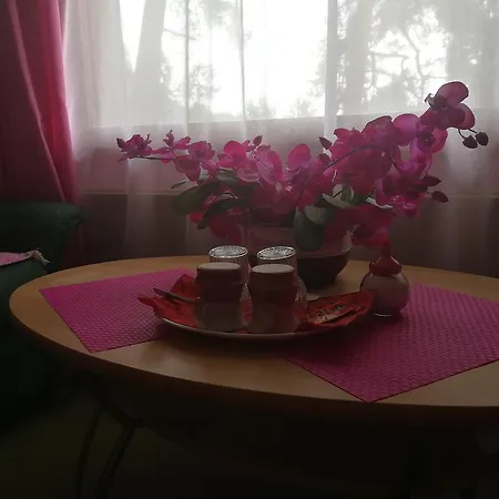 Hotel Vanessa 3*